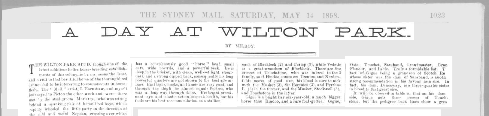 Illustration: a day at Wilton Park