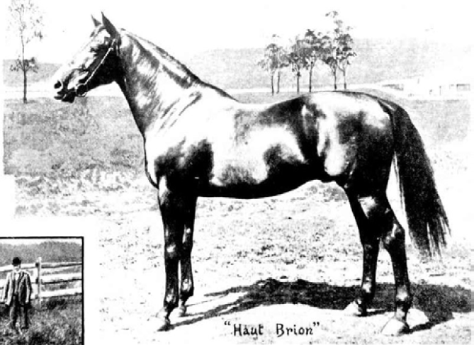 Haut Brion, alternate image