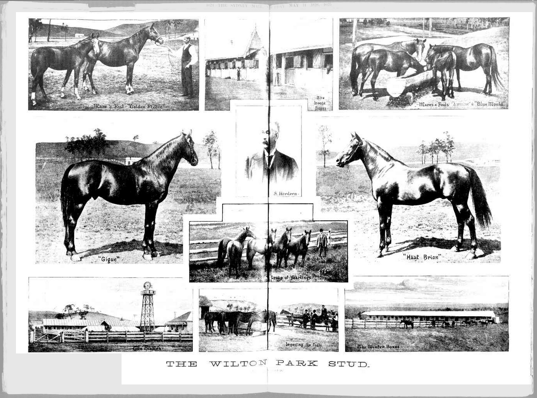 The Wilton Park Stud illustration